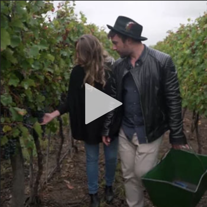 Vaga Brothers Adventure