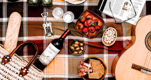 Alamos Wine Picnic